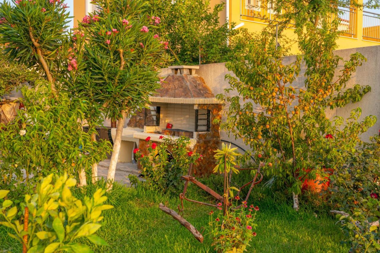 Dimitris Luxury
